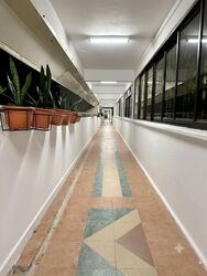 Blk 51 New Upper Changi Road (Bedok), HDB 4 Rooms #574508271
